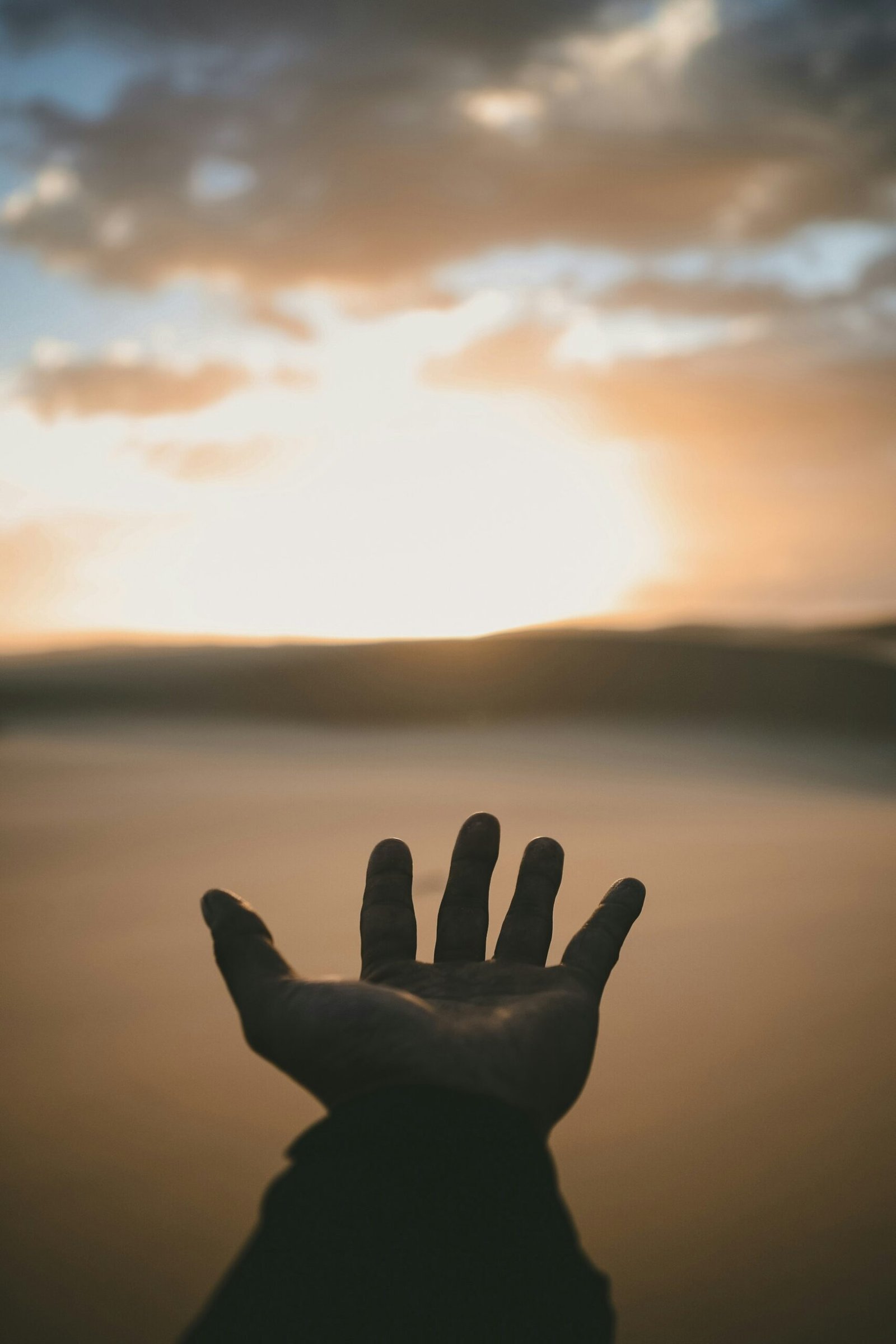 billy pasco se3thnszbkm unsplash